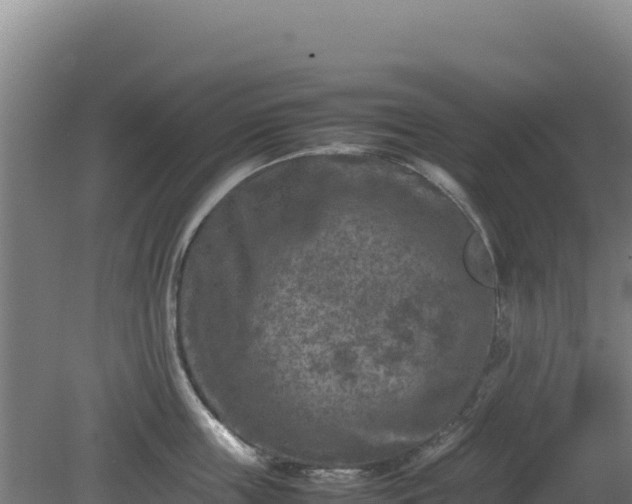 X0000081450859200701191712