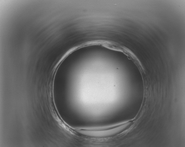 X0000081450860200701191712