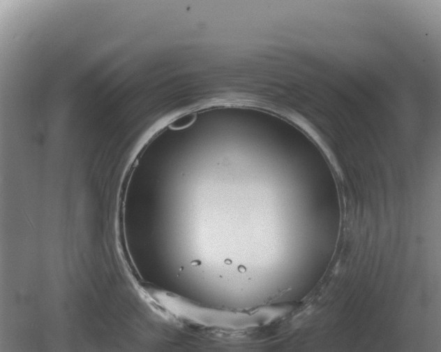 X0000081450861200701191712