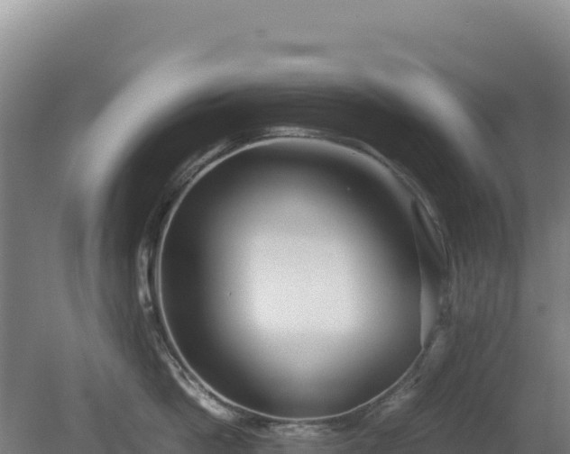 X0000081450862200701191712