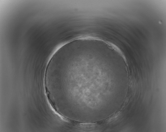 X0000081450863200701191712