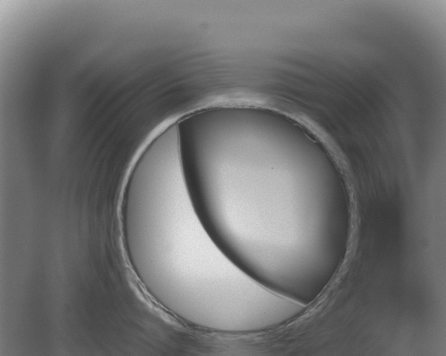 X0000081450864200701191712