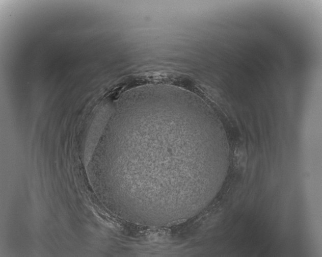 X0000081450865200701191711