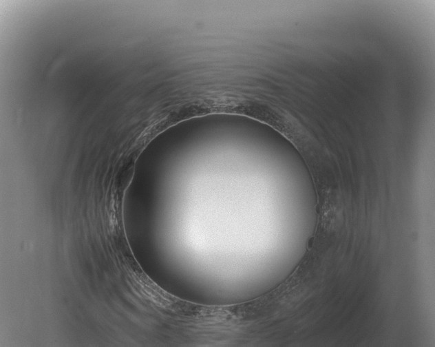 X0000081450866200701191711