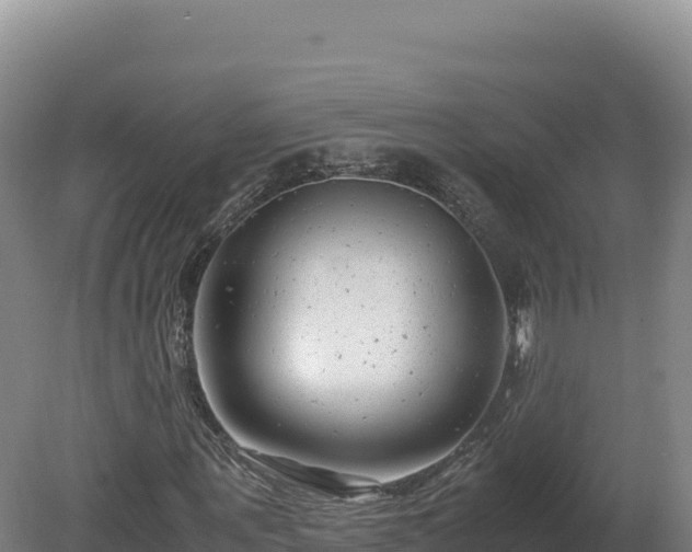 X0000081450867200701191711