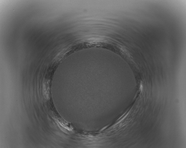 X0000081450868200701191711