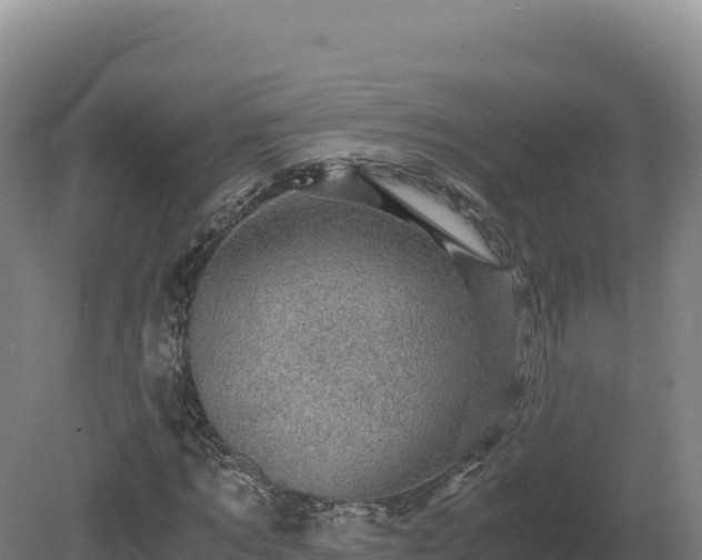 X0000081450869200701191711