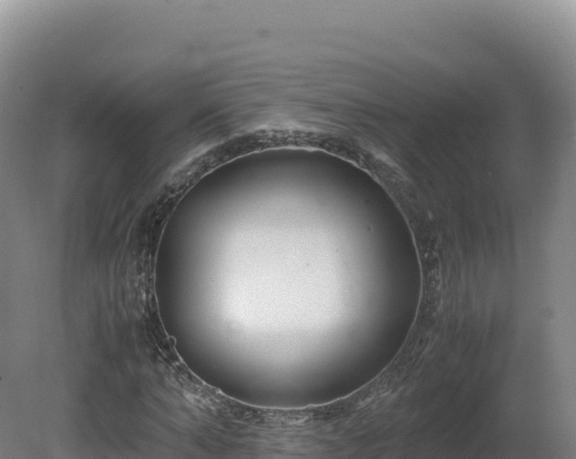 X0000081450870200701191711