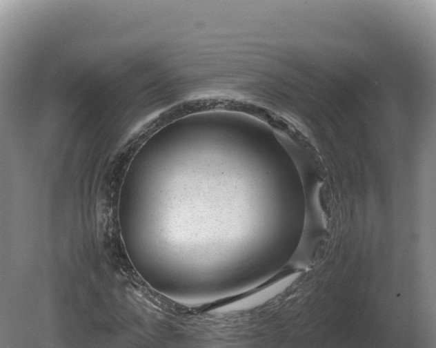 X0000081450872200701191711