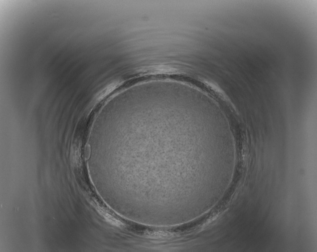 X0000081450873200701191711