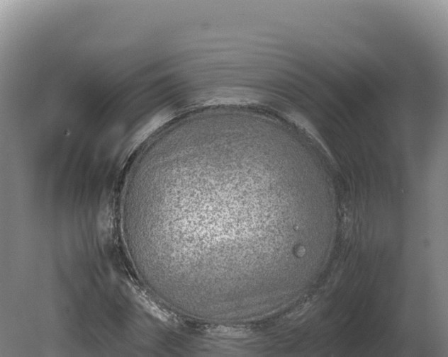 X0000081450874200701191711