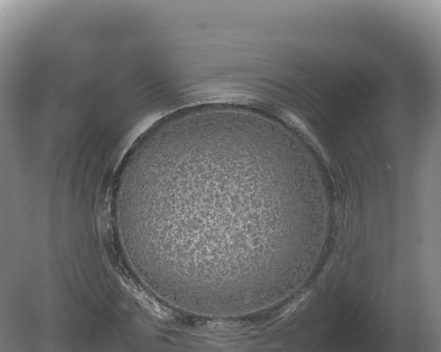 X0000081450875200701191711