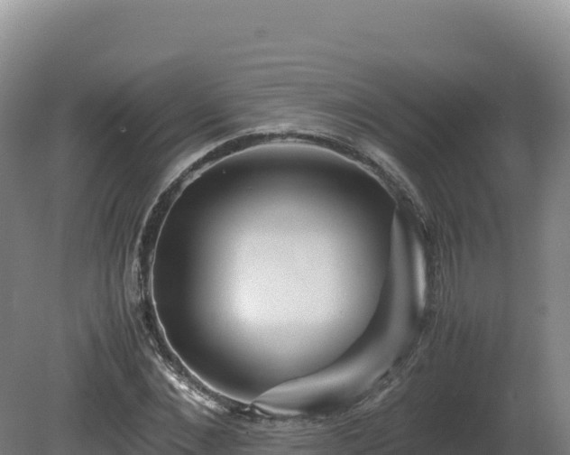 X0000081450876200701191711