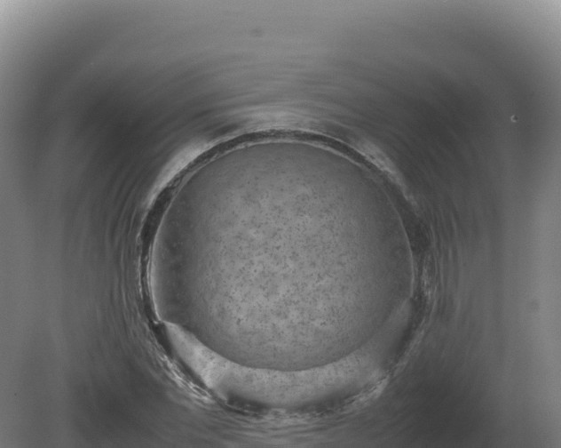 X0000081450877200701191711