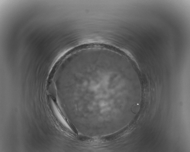 X0000081450879200701191711