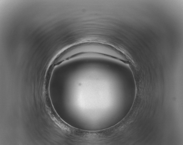 X0000081450880200701191711