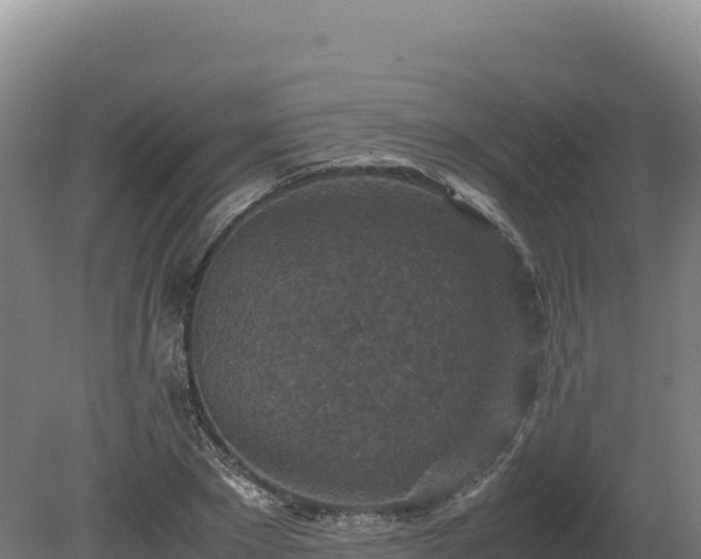 X0000081450881200701191711