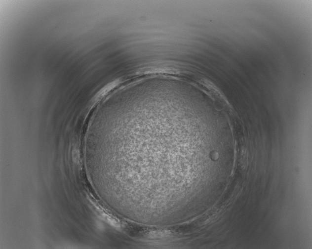 X0000081450882200701191711