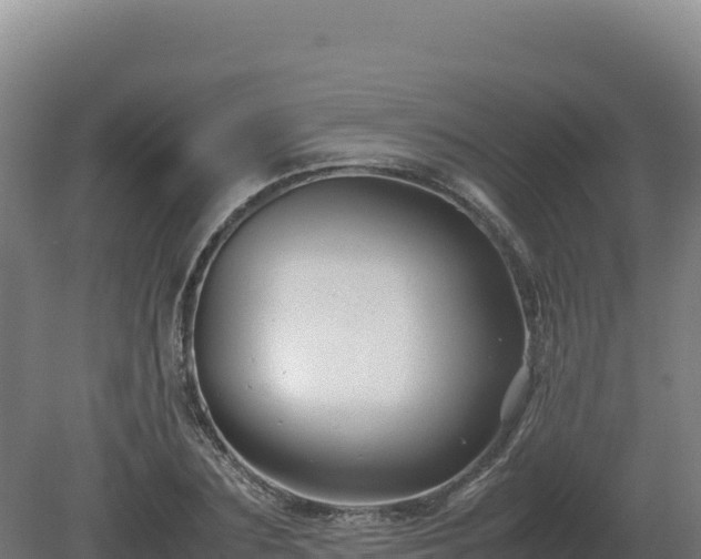 X0000081450883200701191711