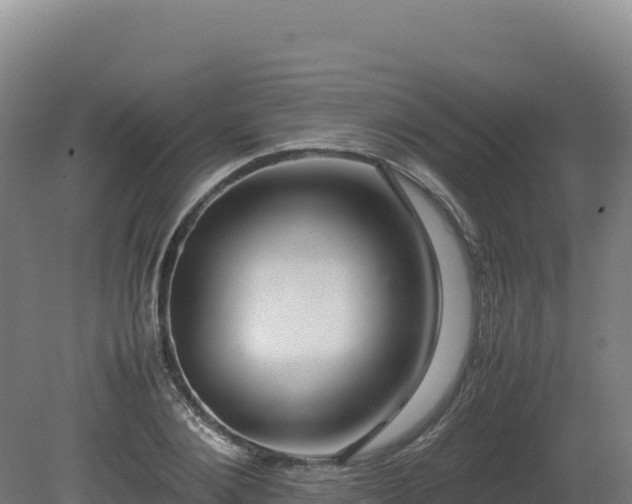 X0000081450884200701191711