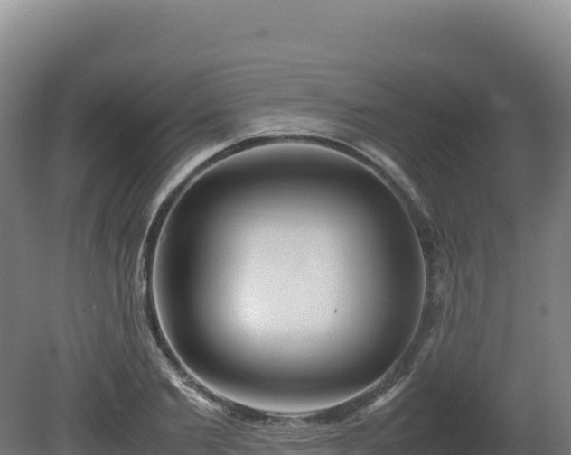 X0000081450885200701191711