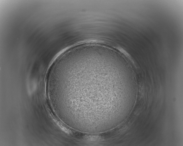 X0000081450886200701191711