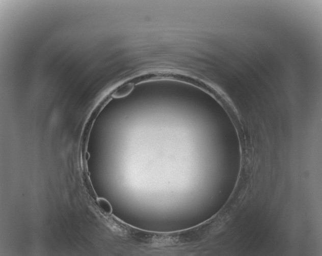 X0000081450887200701191711