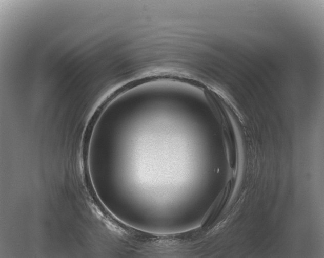 X0000081450888200701191711