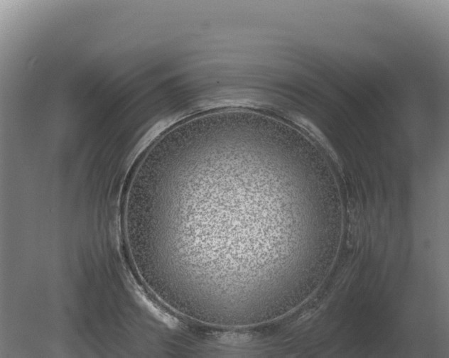 X0000081450890200701191711