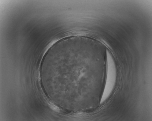 X0000081450891200701191711