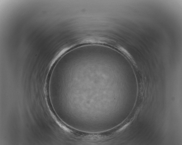 X0000081450893200701191711