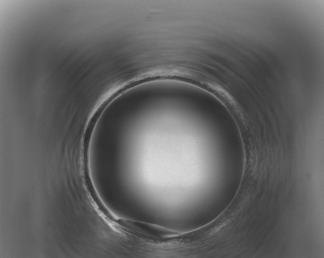 X0000081450894200701191711