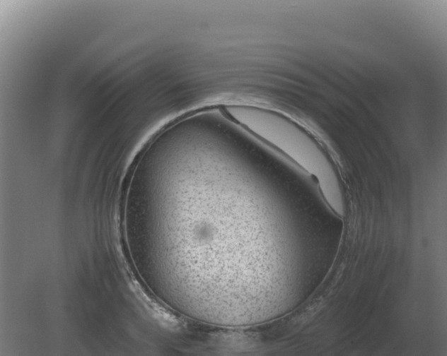 X0000081450896200701191711