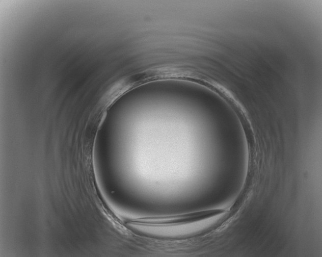 X0000081450897200701191711