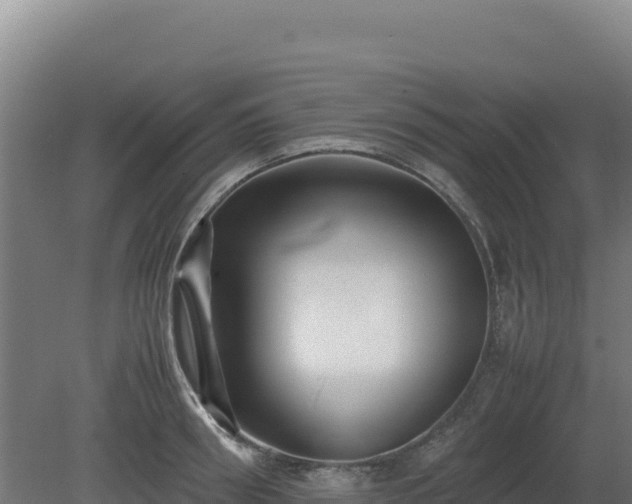 X0000081450898200701191711