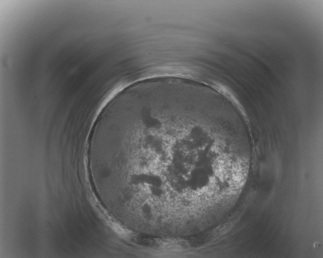 X0000081450899200701191711