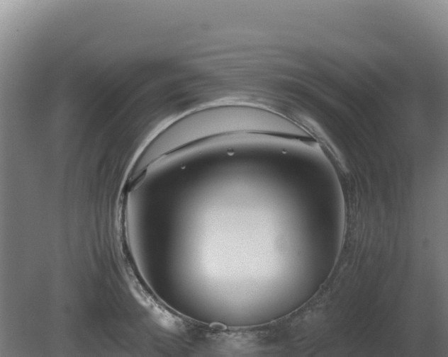 X0000081450900200701191711