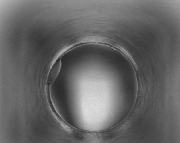 X0000081450901200701191711