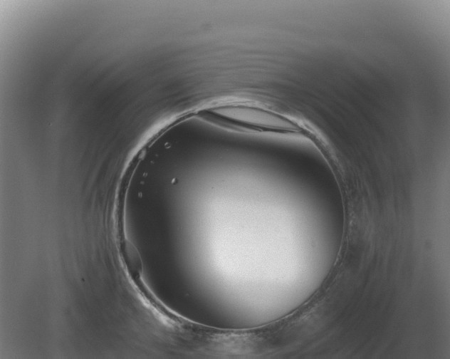 X0000081450902200701191711