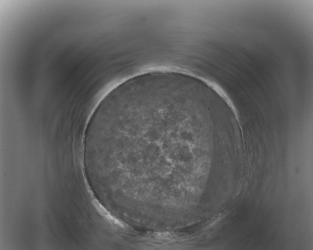 X0000081450903200701191711