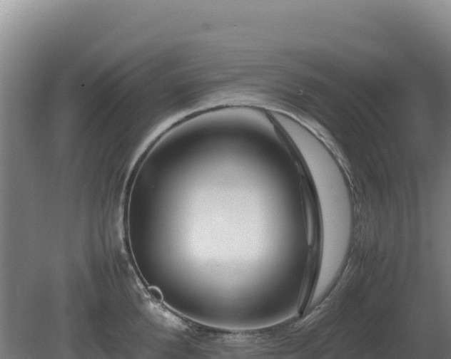 X0000081450904200701191711