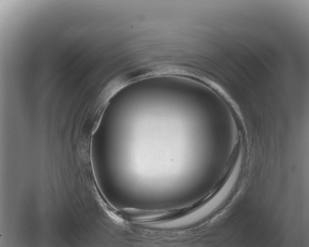 X0000081450905200701191710