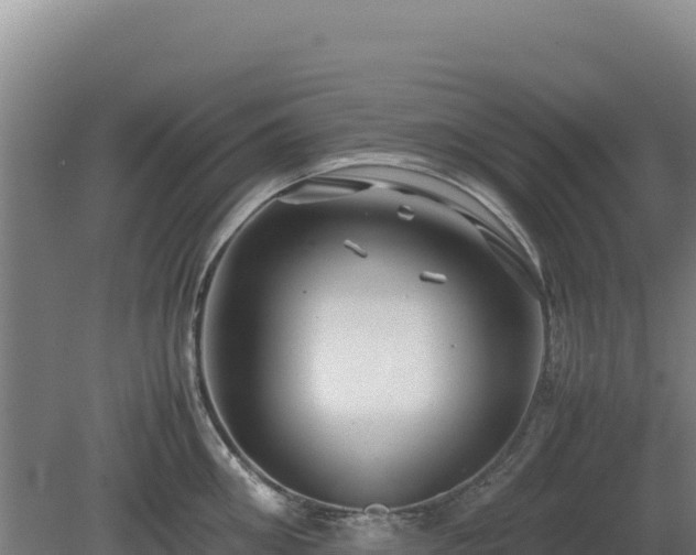 X0000081450906200701191710