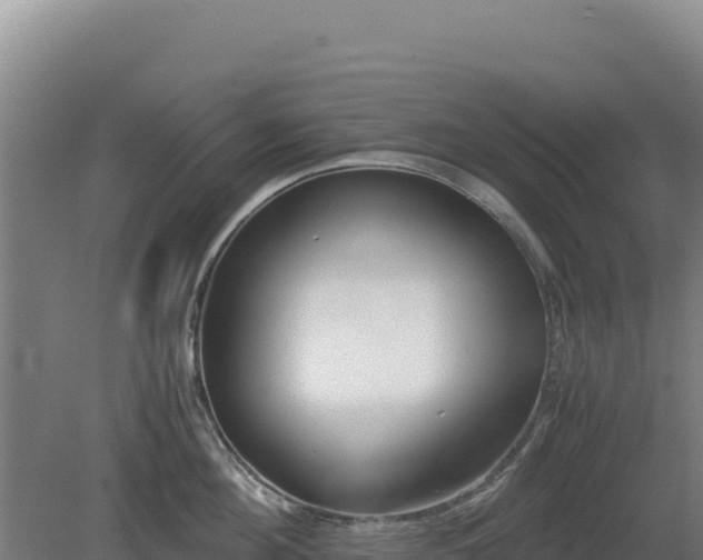 X0000081450908200701191710