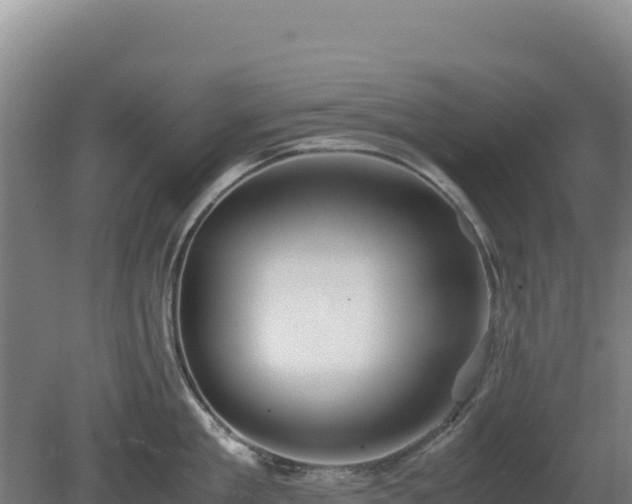 X0000081450909200701191710