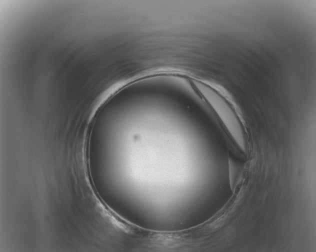 X0000081450910200701191710