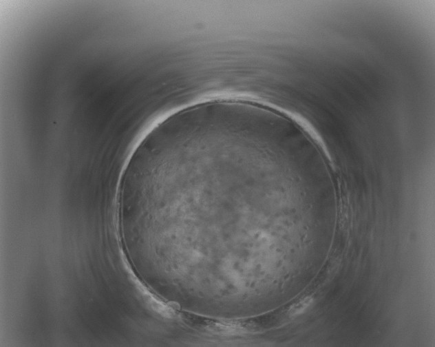 X0000081450911200701191710