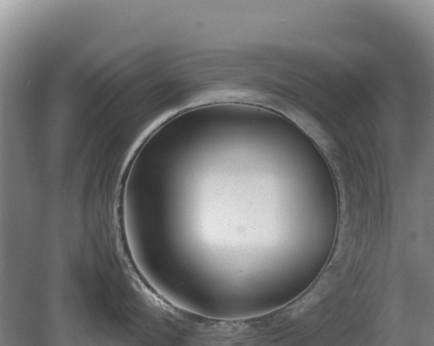 X0000081450912200701191710