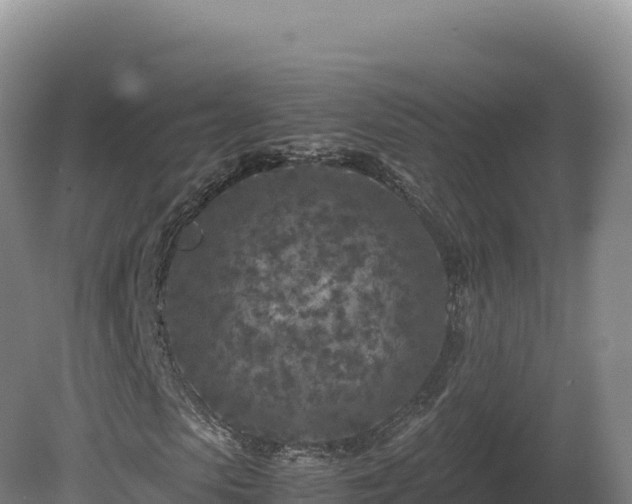 X0000081450913200701191710