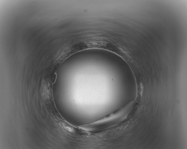 X0000081450915200701191710